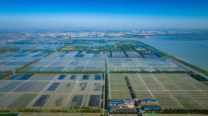 航拍高淳固城湖螃蟹核心區(qū)。高淳區(qū)融媒體中心供圖