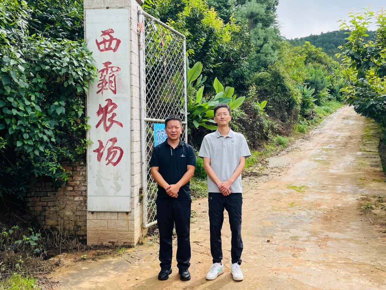 圖片